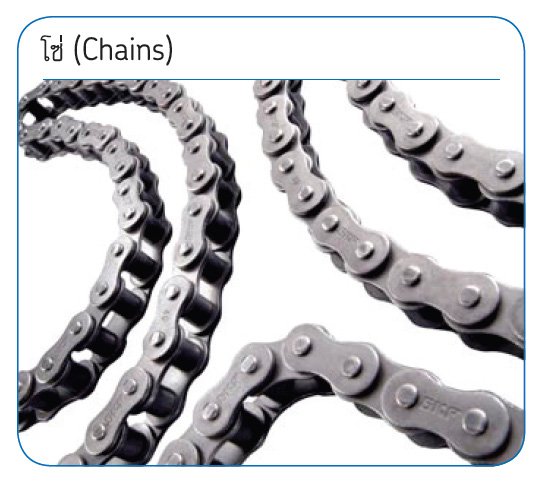 Chains (โซ่ส่งกำลังและโซ่ลำเลียง) - Image 2