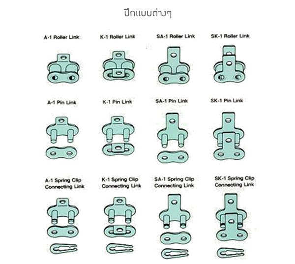 Chains (โซ่ส่งกำลังและโซ่ลำเลียง) - Image 5