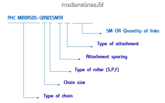 Chains (โซ่ส่งกำลังและโซ่ลำเลียง) - Image 6
