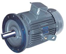 มอเตอร์ไฟฟ้า 3 สาย แบบหน้าแปลน