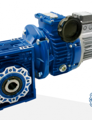 Motovariators + worm gear reducer