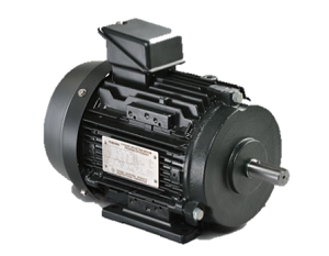 Premium Gold Motor IE3 Premium Efficiency